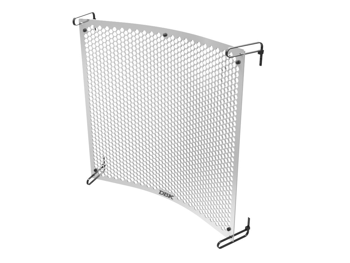 GR30 Triumph 765 Water Cooler Protection