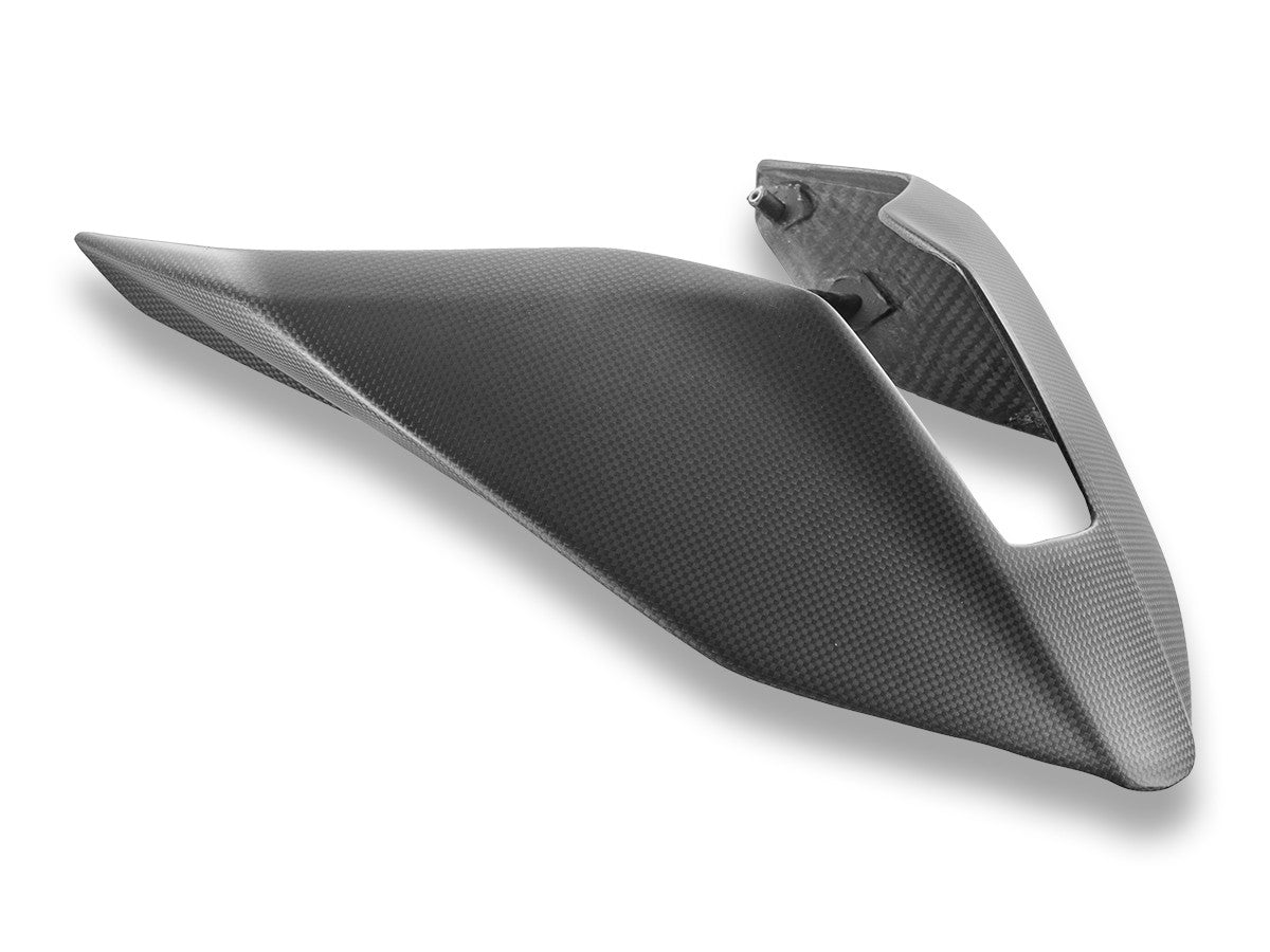 Ducati Panigale/Streetfighter V4 2025 Matt Carbon Tail Fairing