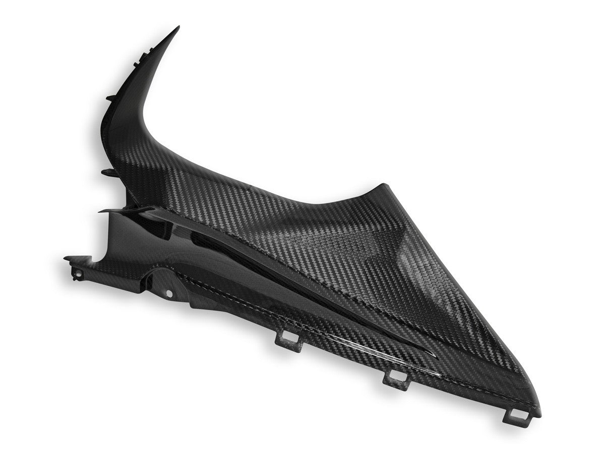 CRB113L BMW S1000RR Glossy Carbon Infil Panel