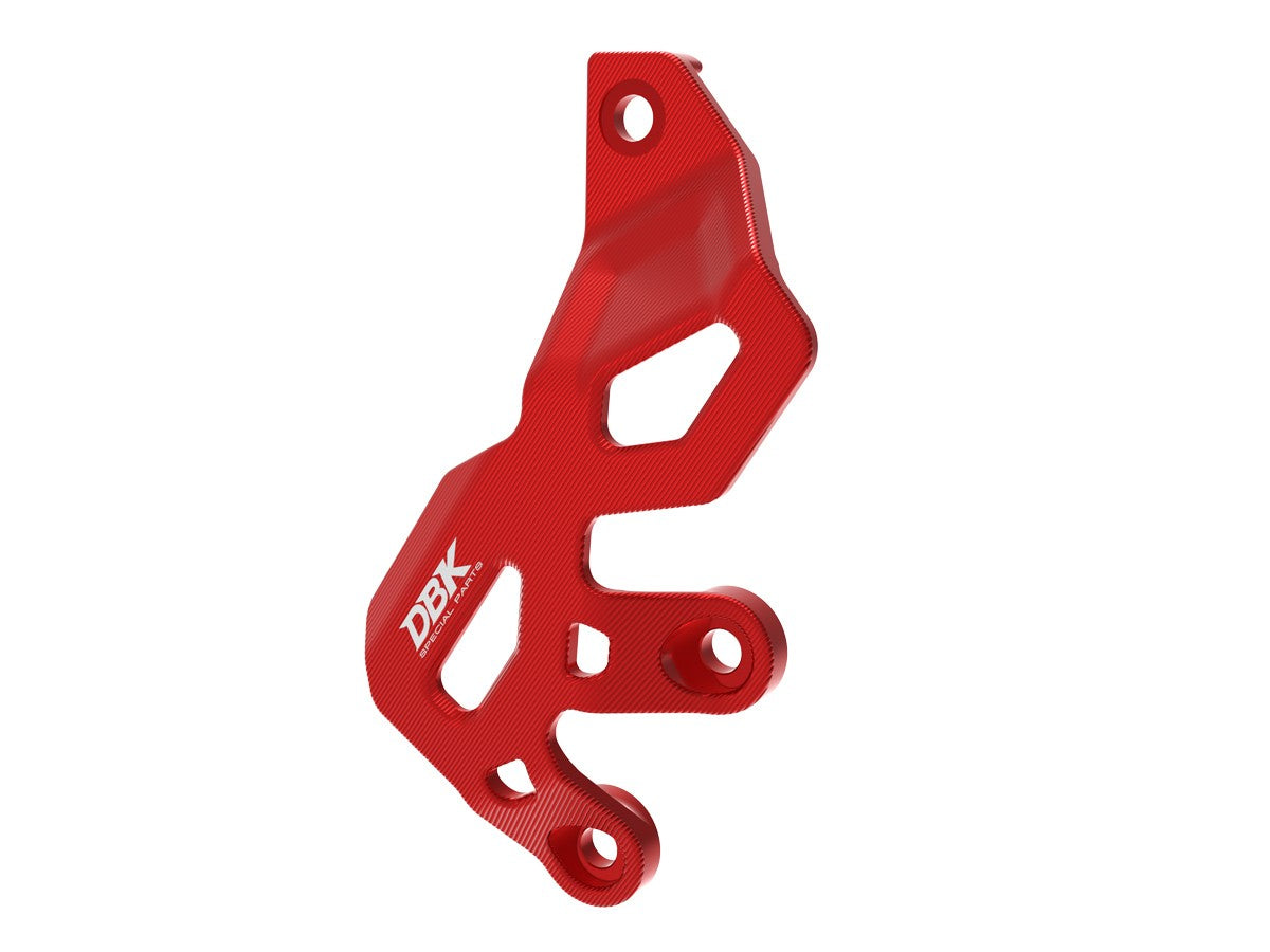 Ducati Panigale/Streetfighter V2 2025 Rear Brake Pump Protection