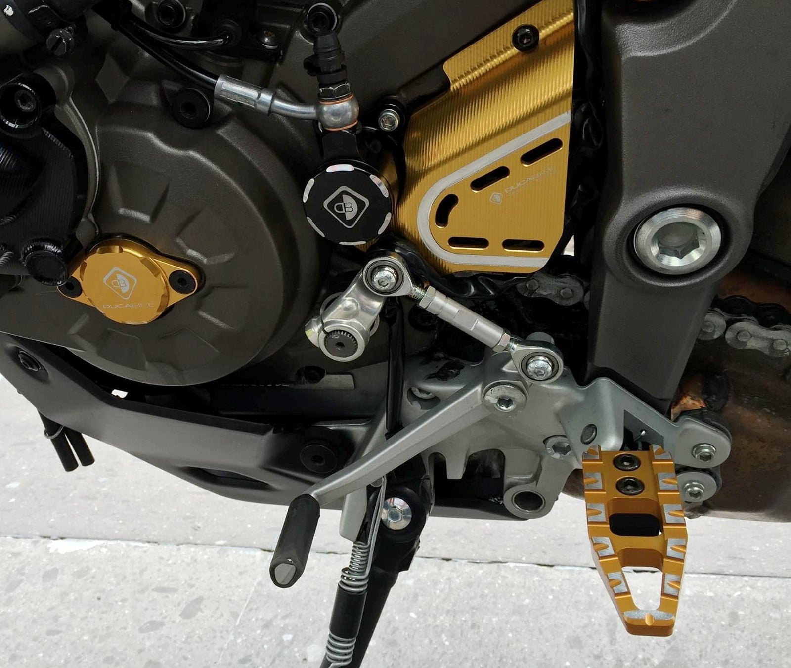 PPDVP01 Adjustable Passengers Pegs