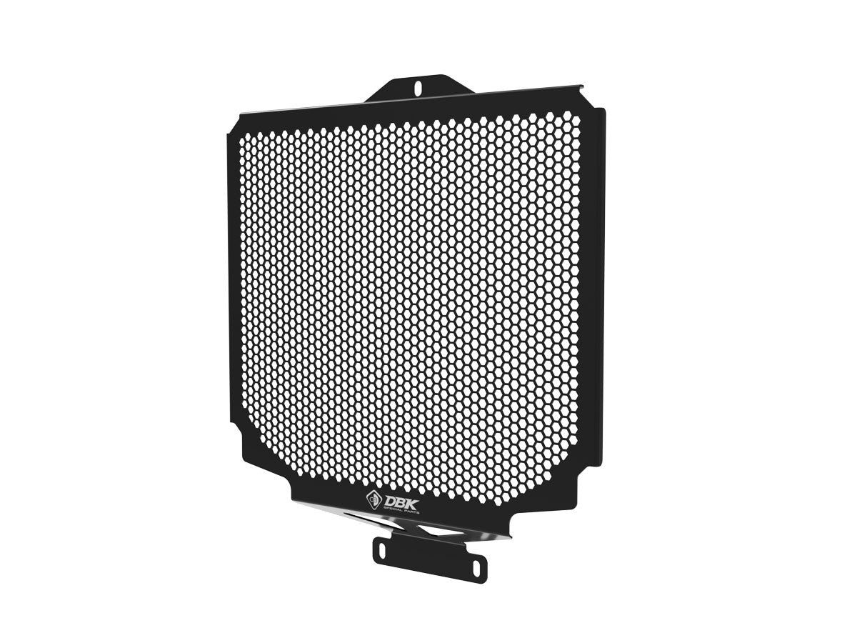 GR19 Moto Guzzi V100 Water Radiator Guard