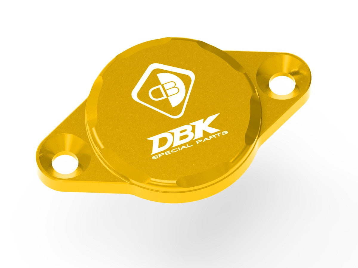 CIF01 Timing Inspection Cover