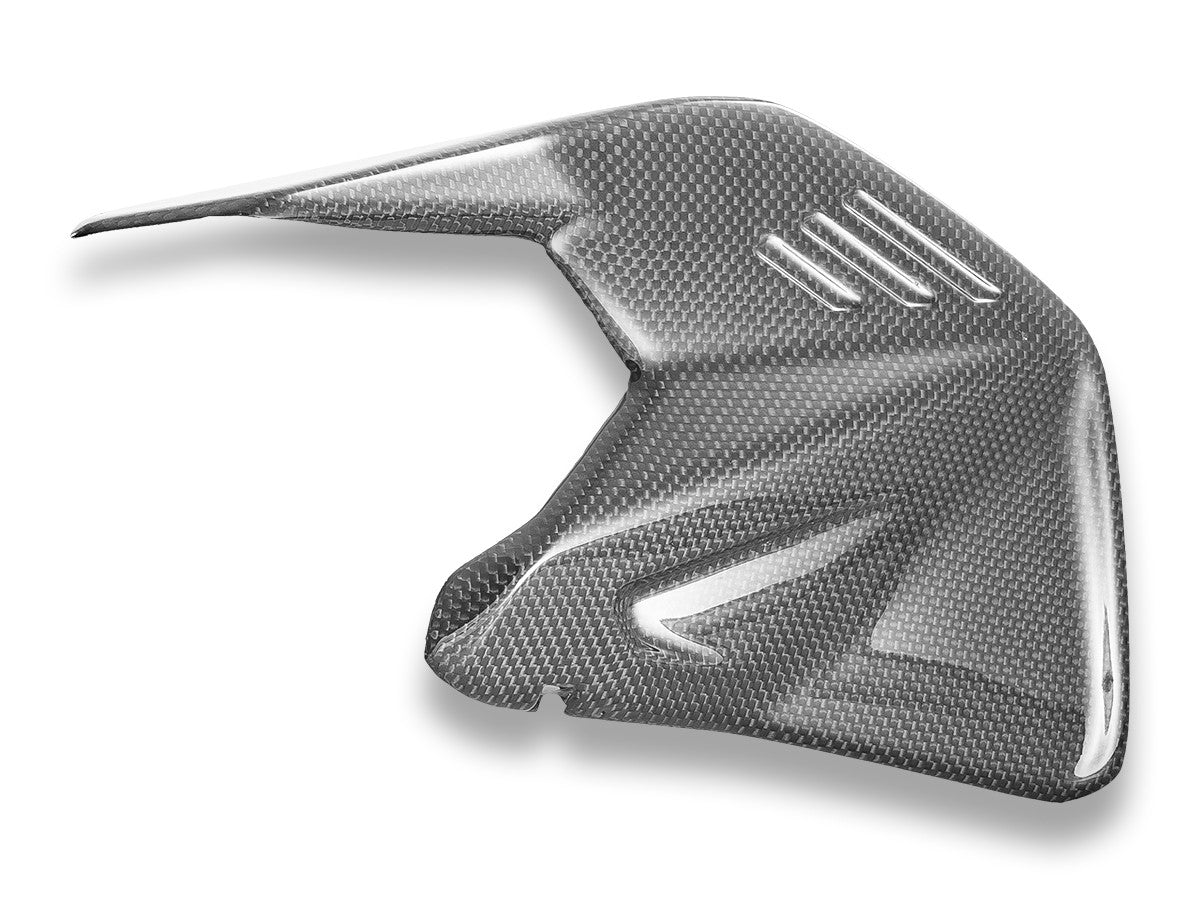 Ducati Panigale/Streetfighter V4 2025 Glossy Carbon Swingarm Protector