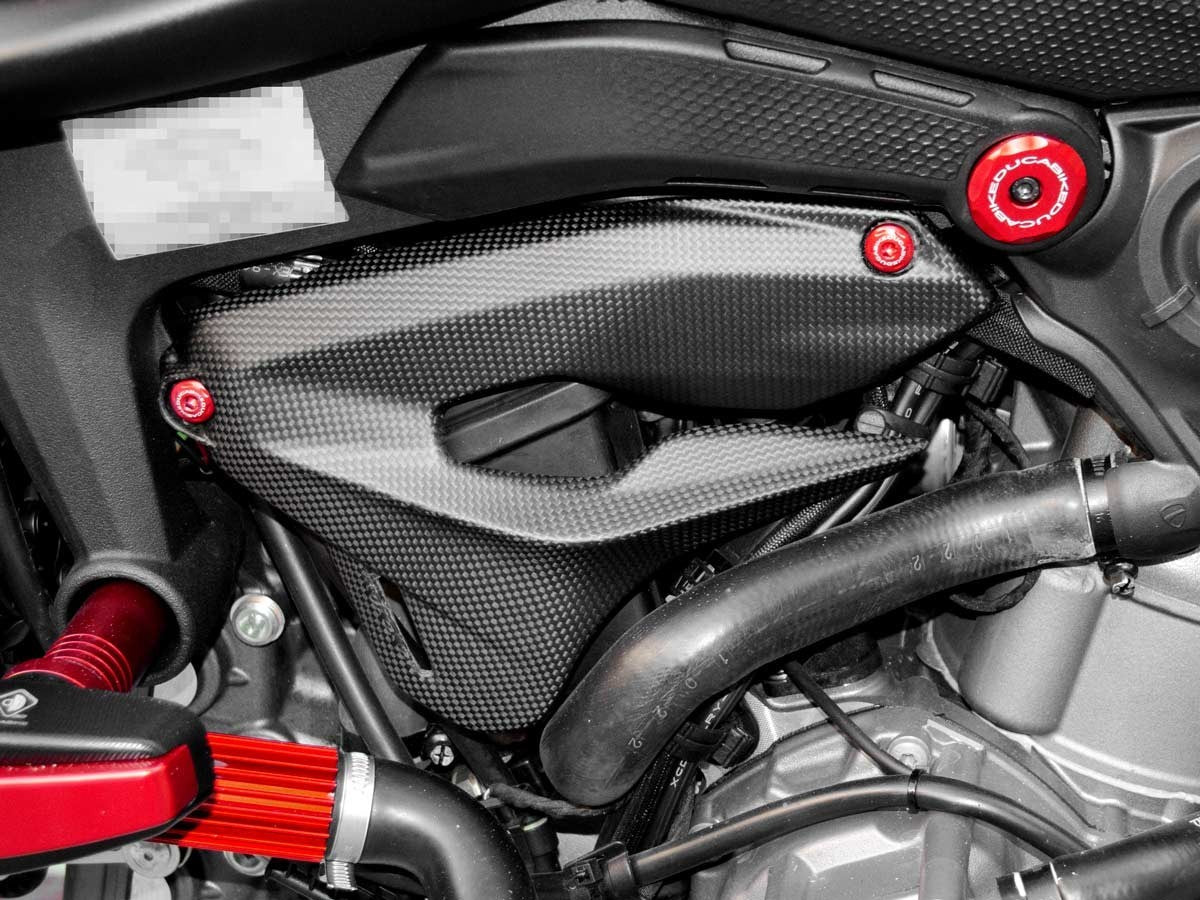 CRB03O Carbon Side Covers