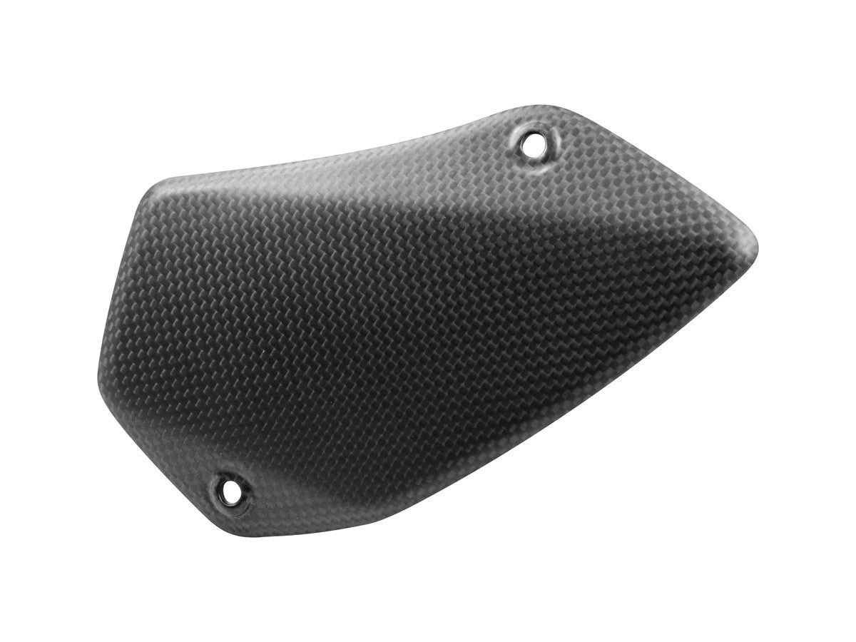 CRB125O Matt Carbon Swingarm Protection Cover MTS V4 Pikes Peak
