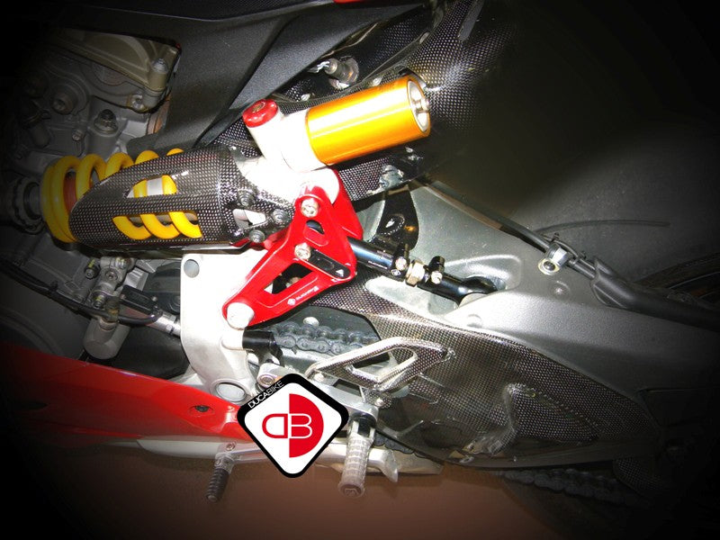 BSP01 Rear Link Suspension Panigale