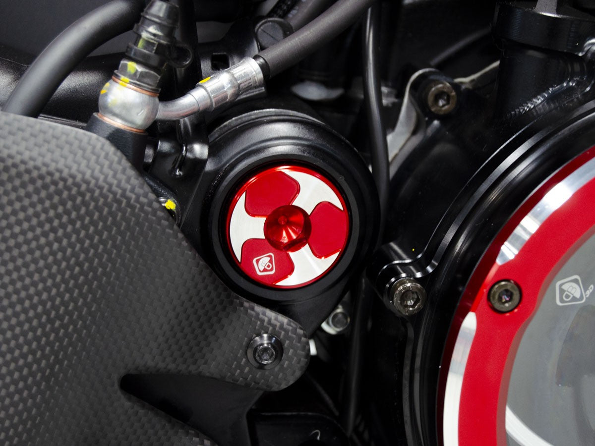 TTF08 DIAVEL V4 KIT CENTRAL FRAME CAPS (Swing Arm)