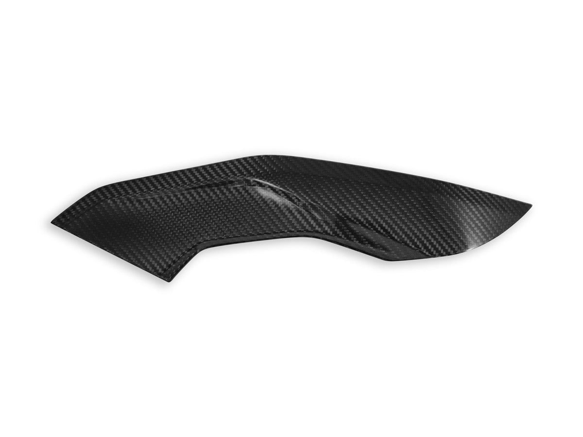 CRB139L BMW S1000R Side Panels Polished Carbon