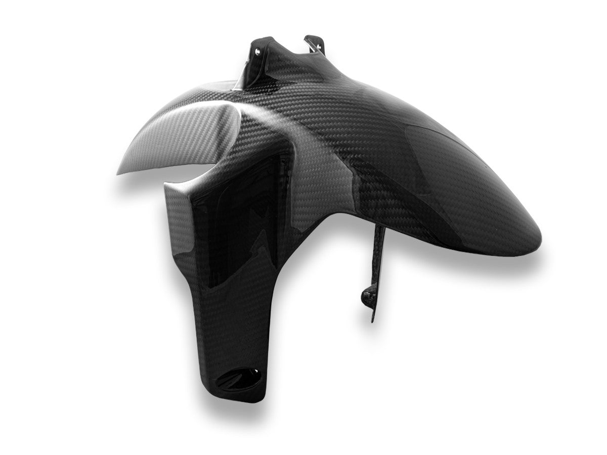 CRB176L - BMW R1300GS GLOSSY CARBON FRONT FENDER