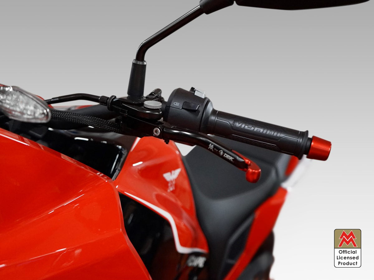 LEA22 Brake / Clutch Adjustable Levers Eco GP 2