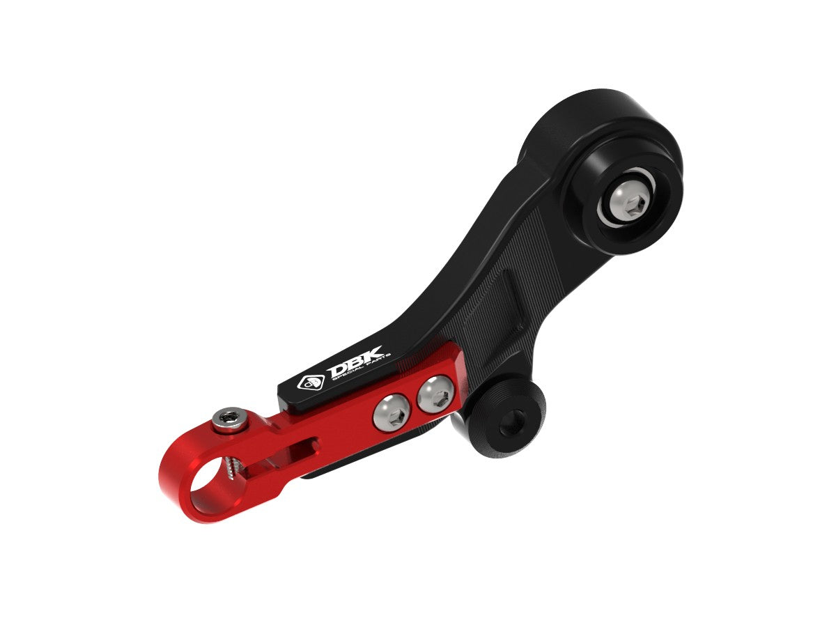 Rplc30 BMW R1300GS Adjustable Gear Lever