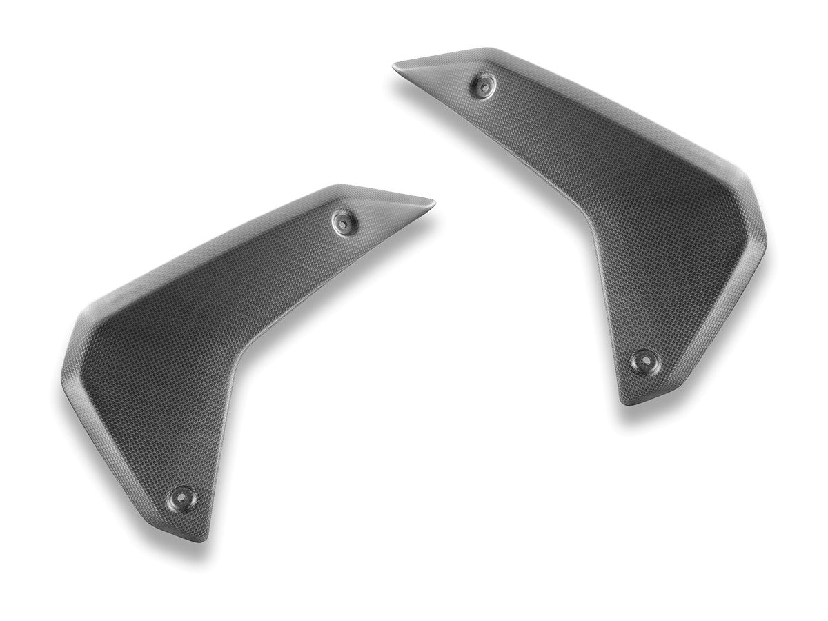 CRB180O BMW R1300GS Matt Carbon Side Panels