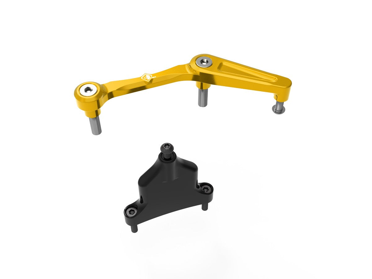 SAS21 Kit Mount Steering Damper