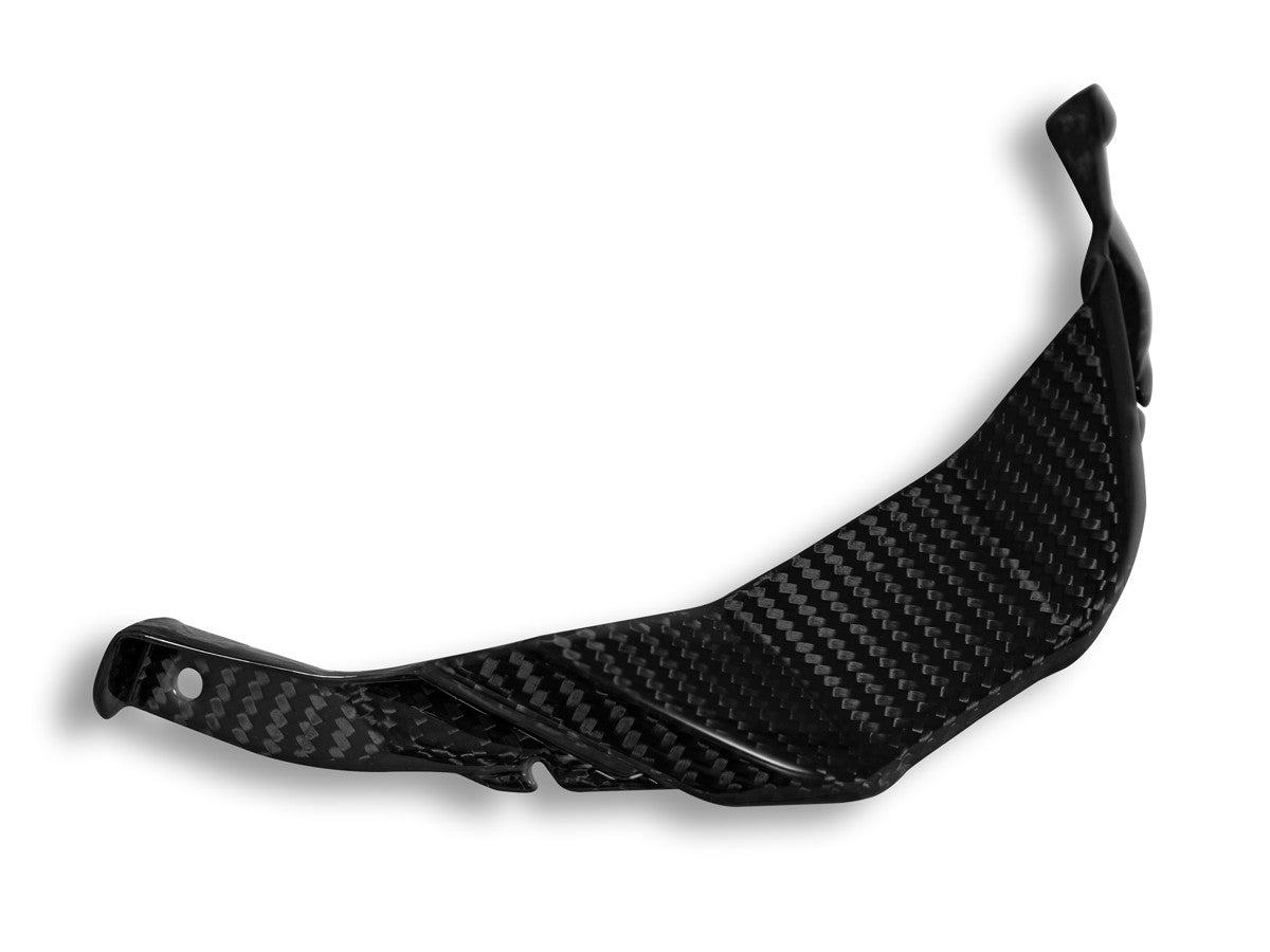 CRB143L BMW S1000RR Glossy Carbon Front Lip