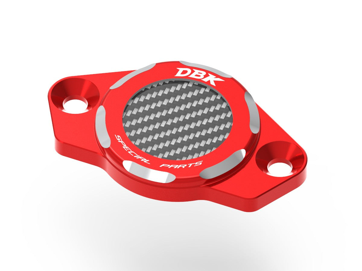CIF06 Timing Inspection Cover