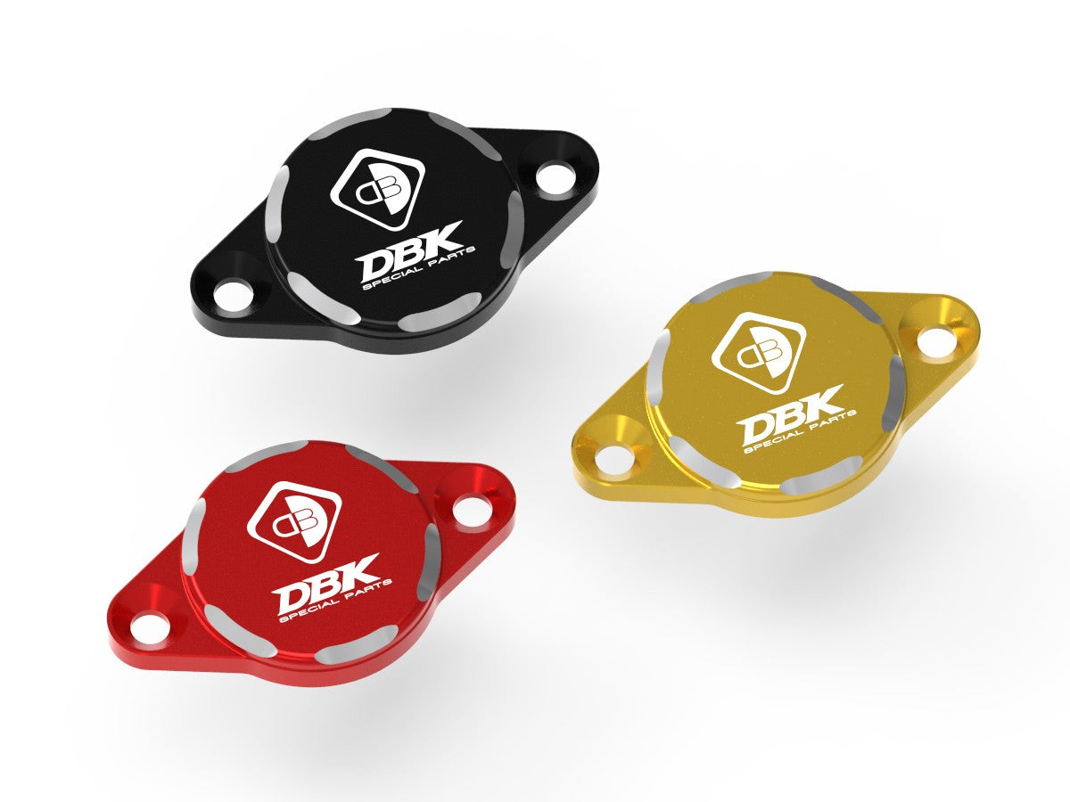 CIF09 Timing Inspection Cover