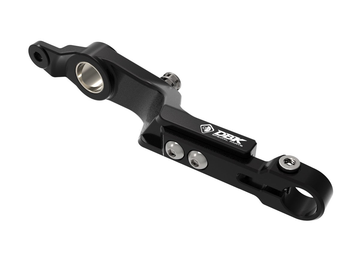 RPLF26 - BMW R1300GS ADJUSTABLE BRAKE CONTROL LEVER