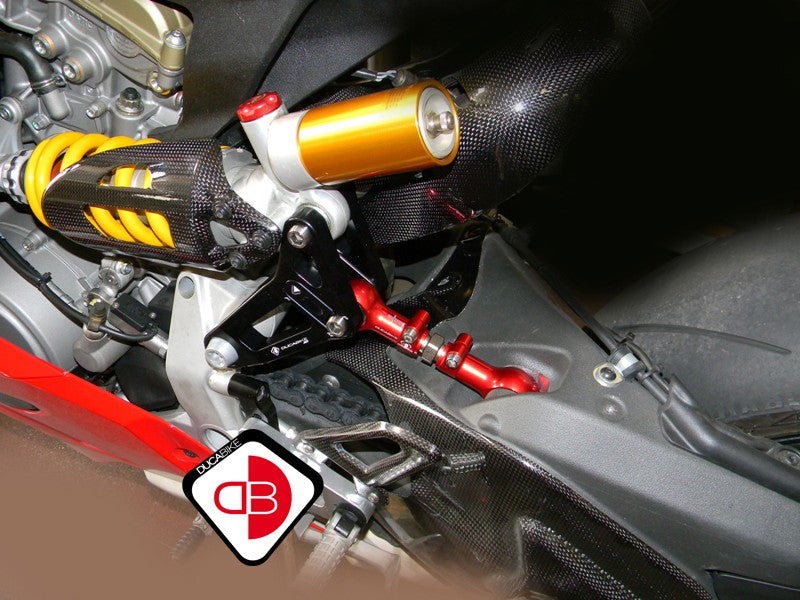 BSP01 Rear Link Suspension Panigale