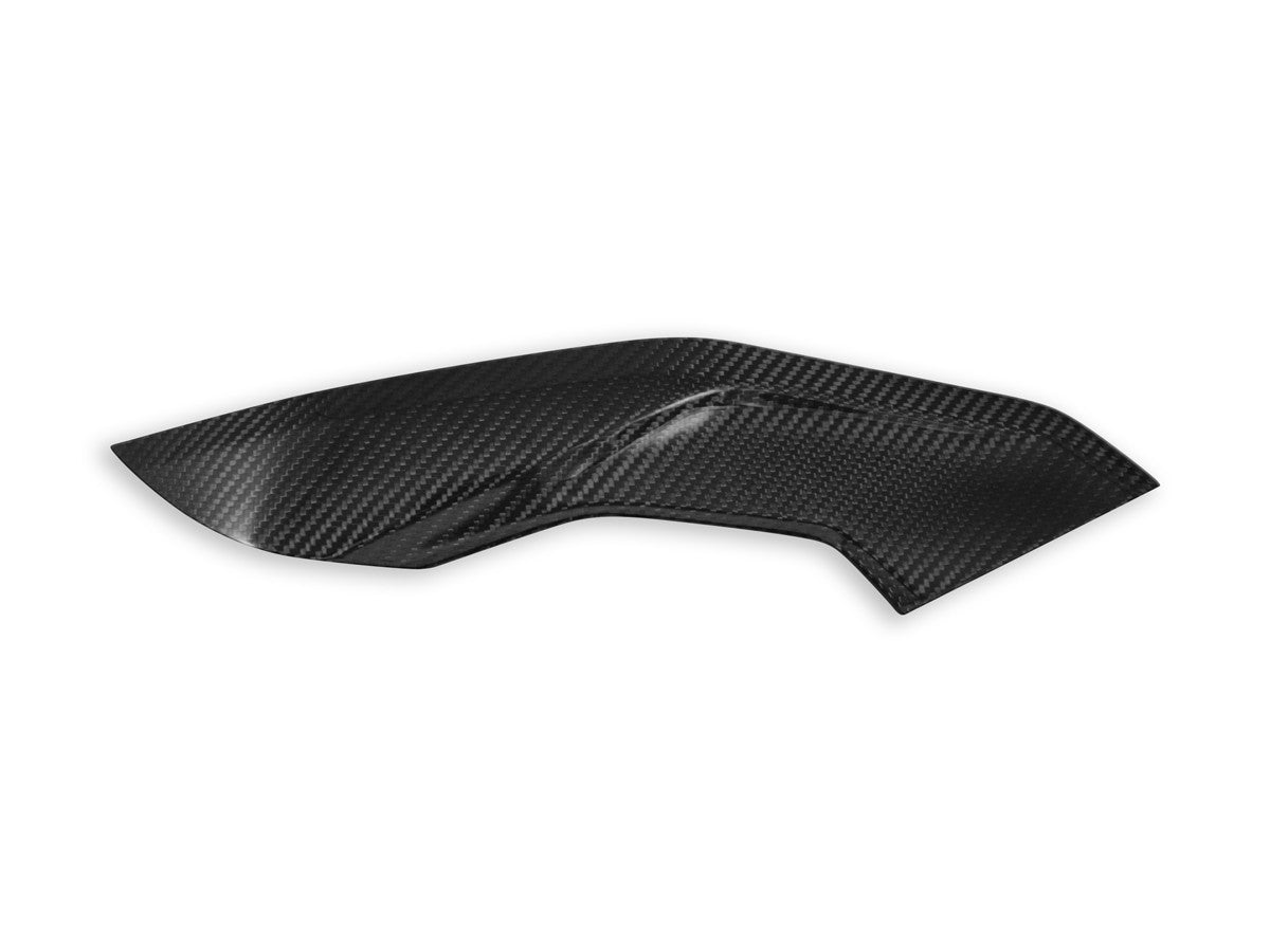 CRB139L BMW S1000R Side Panels Polished Carbon