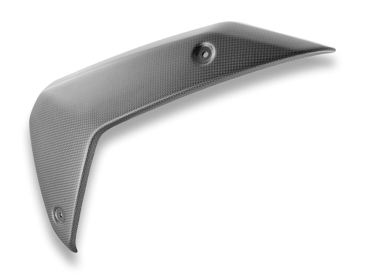 CRB180O BMW R1300GS Matt Carbon Side Panels