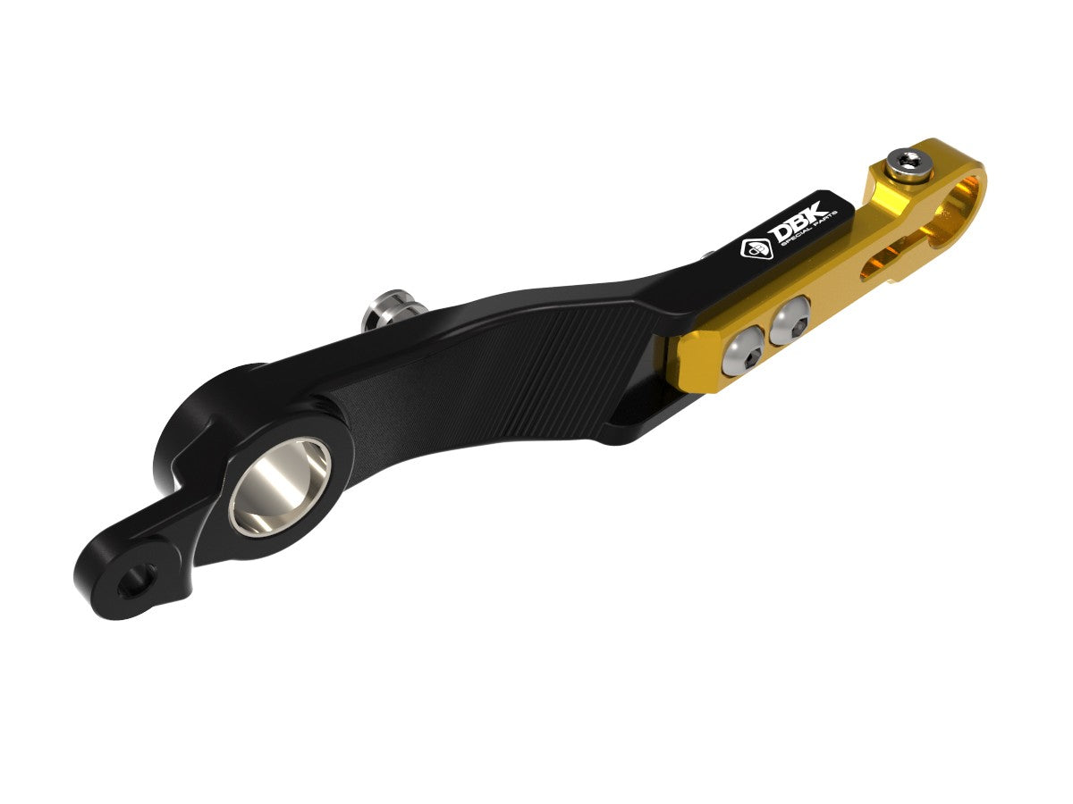 RPLF26 - BMW R1300GS ADJUSTABLE BRAKE CONTROL LEVER