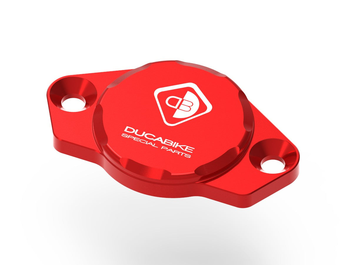 CIF02 Timing Inspection Cover