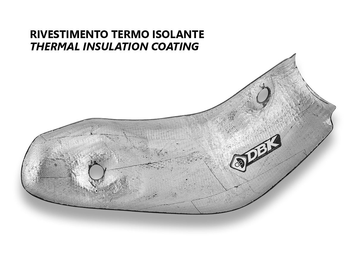 Ducati Multistrada V4 RS Matt Carbon Exhaust Guard