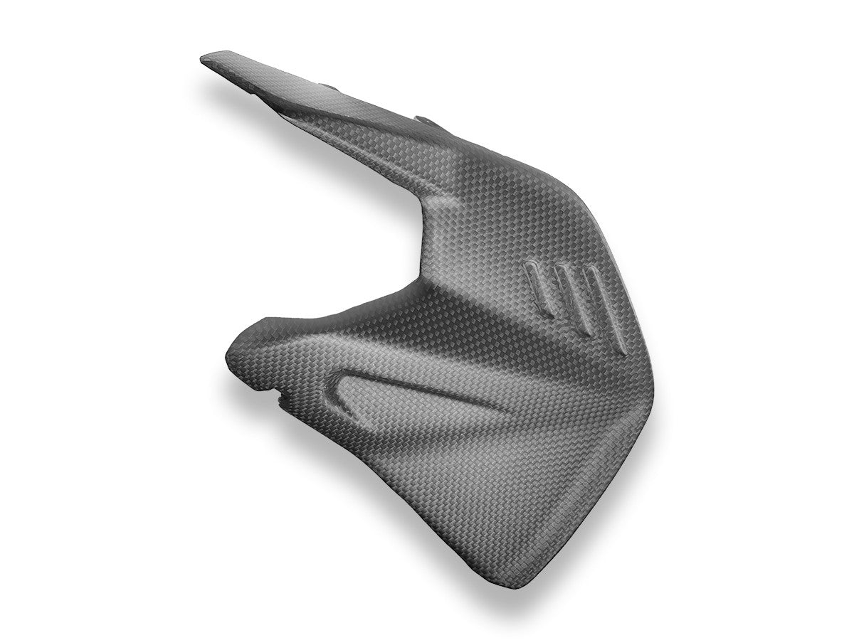 Ducati Panigale/Streetfighter V4 2025 Matt Carbon Swingarm Protector