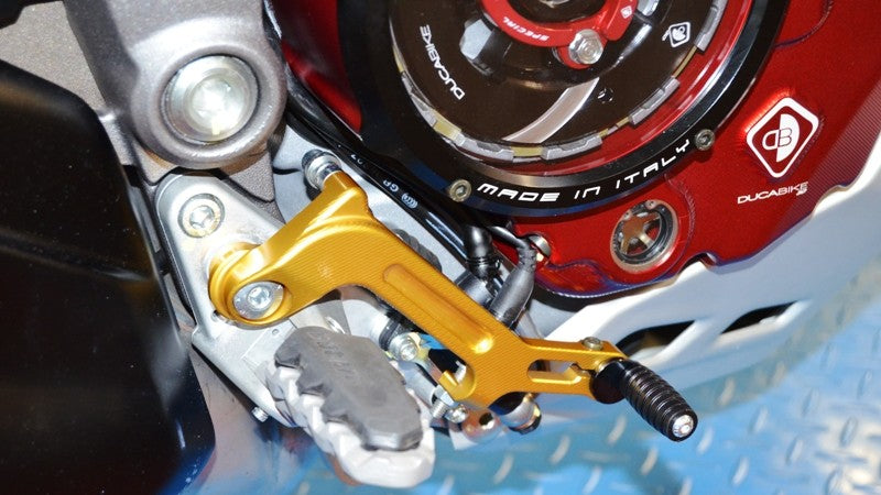 RPLF12 Brake Lever MTS MY2015