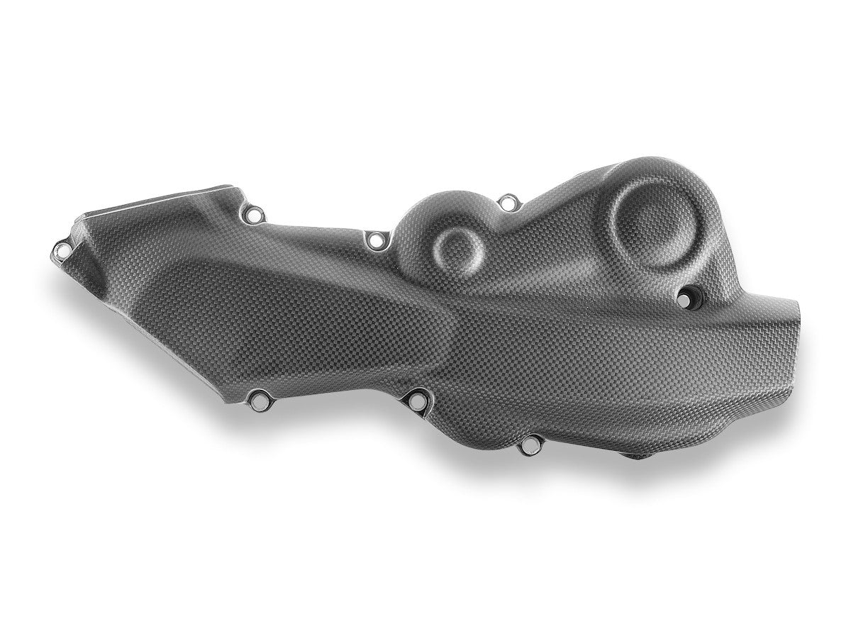 Ducati Hypermotard 950 Matt Carbon Belt Covers