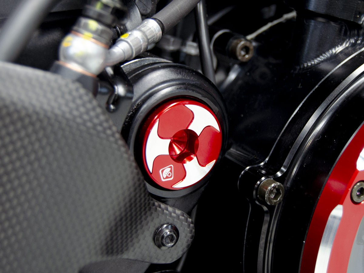 TTF08 DIAVEL V4 KIT CENTRAL FRAME CAPS (Swing Arm)