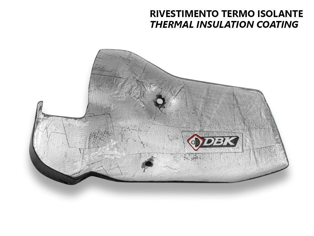 BMW R1300GS Glossy Carbon Exhaust Guard