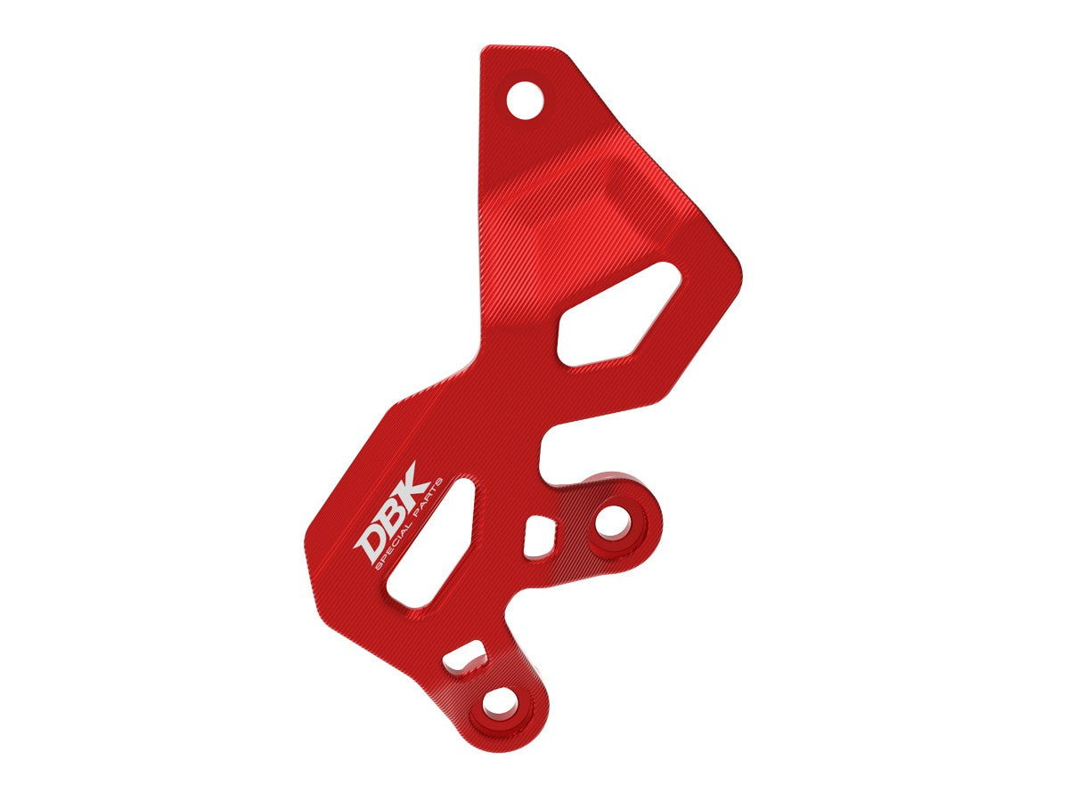 Ducati Panigale/Streetfighter V2 2025 Rear Brake Pump Protection