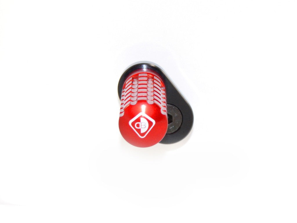 PPSCRA02 Adjustable Foot Pegs Scrambler