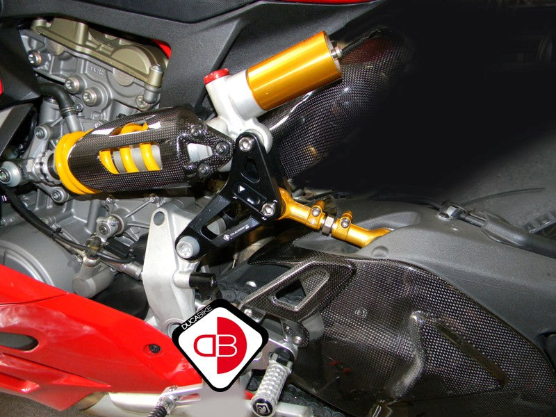 BSP01 Rear Link Suspension Panigale