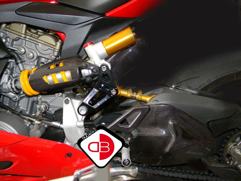 BSP01 Rear Link Suspension Panigale