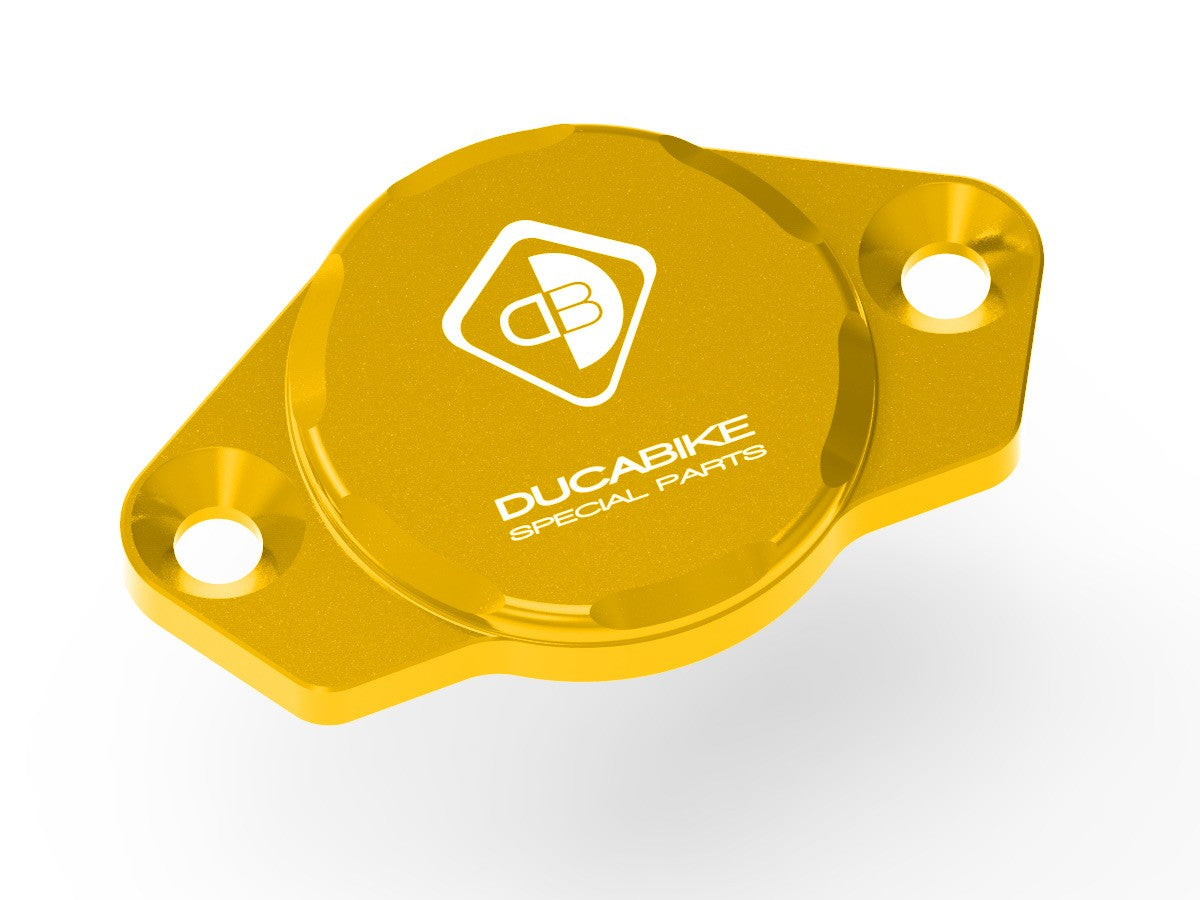 CIF02 Timing Inspection Cover