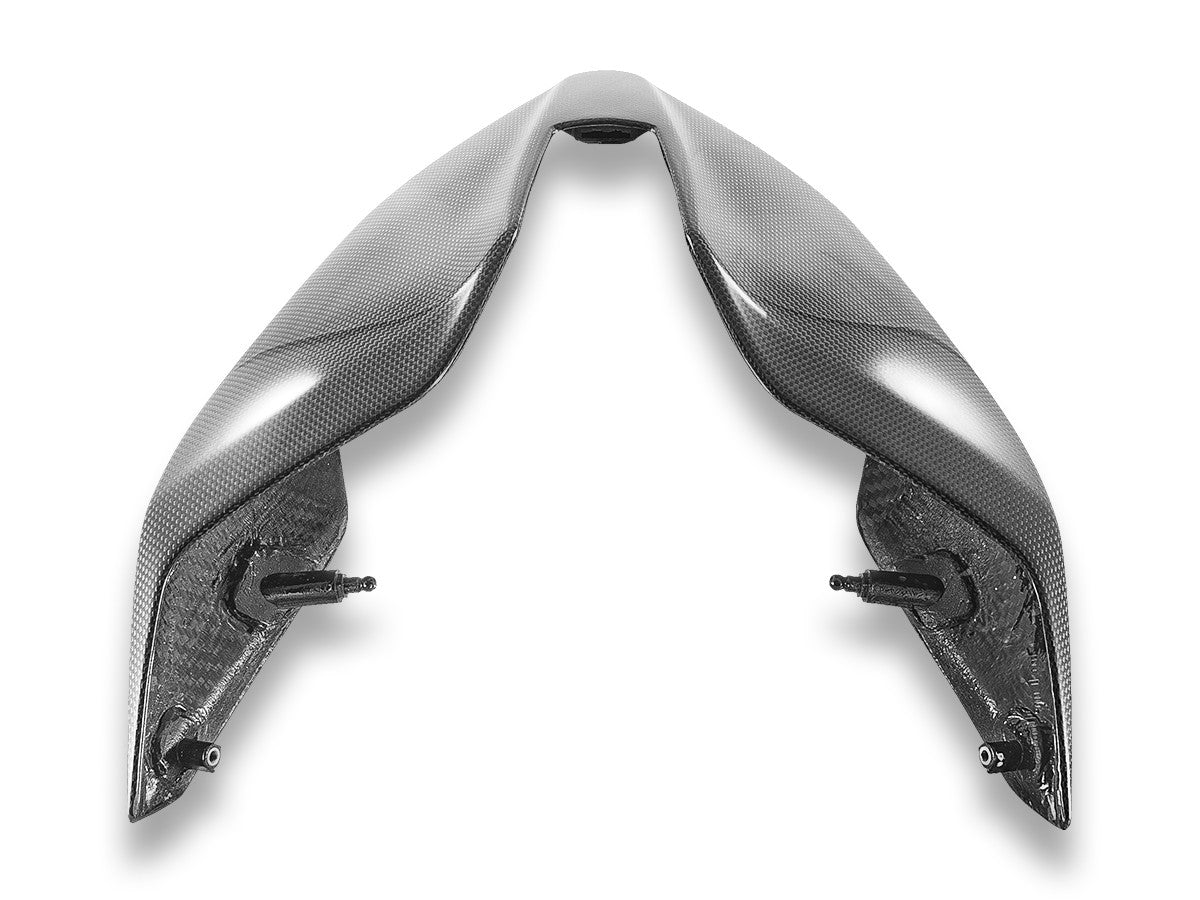 Ducati Panigale/Streetfighter V4 2025 Glossy Carbon Tail Fairing