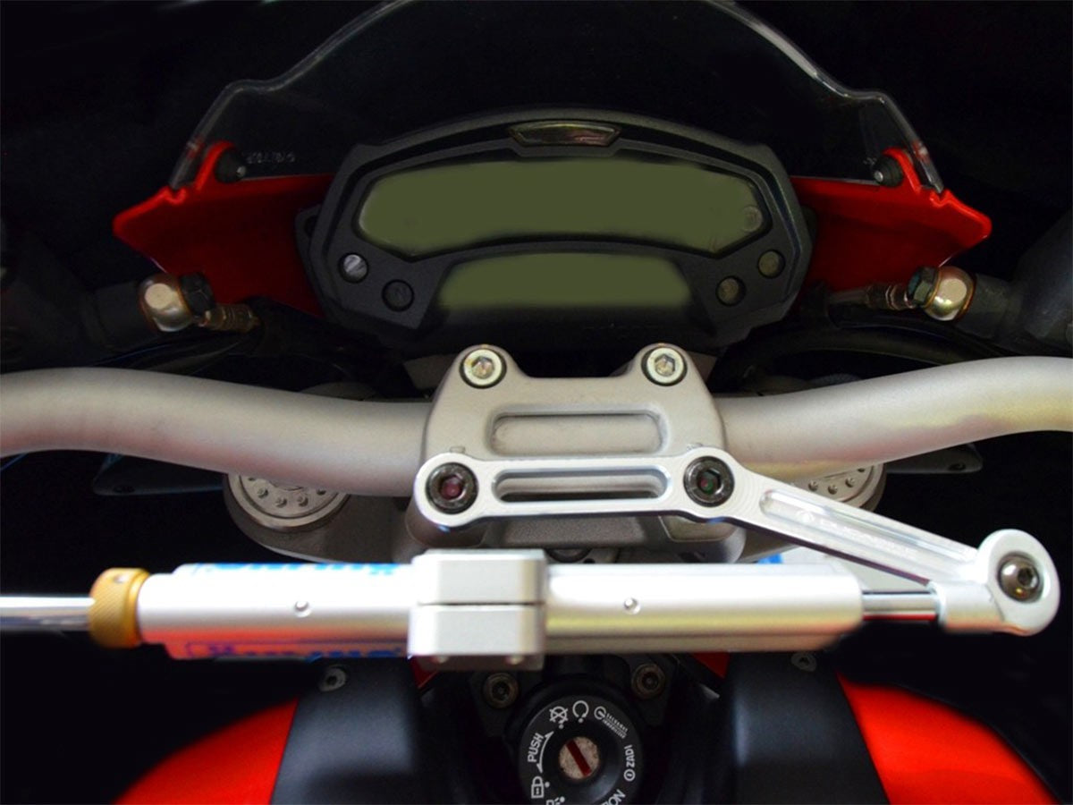 SAS06 Kit Mount Steering Damper M796 / 1100 Evo