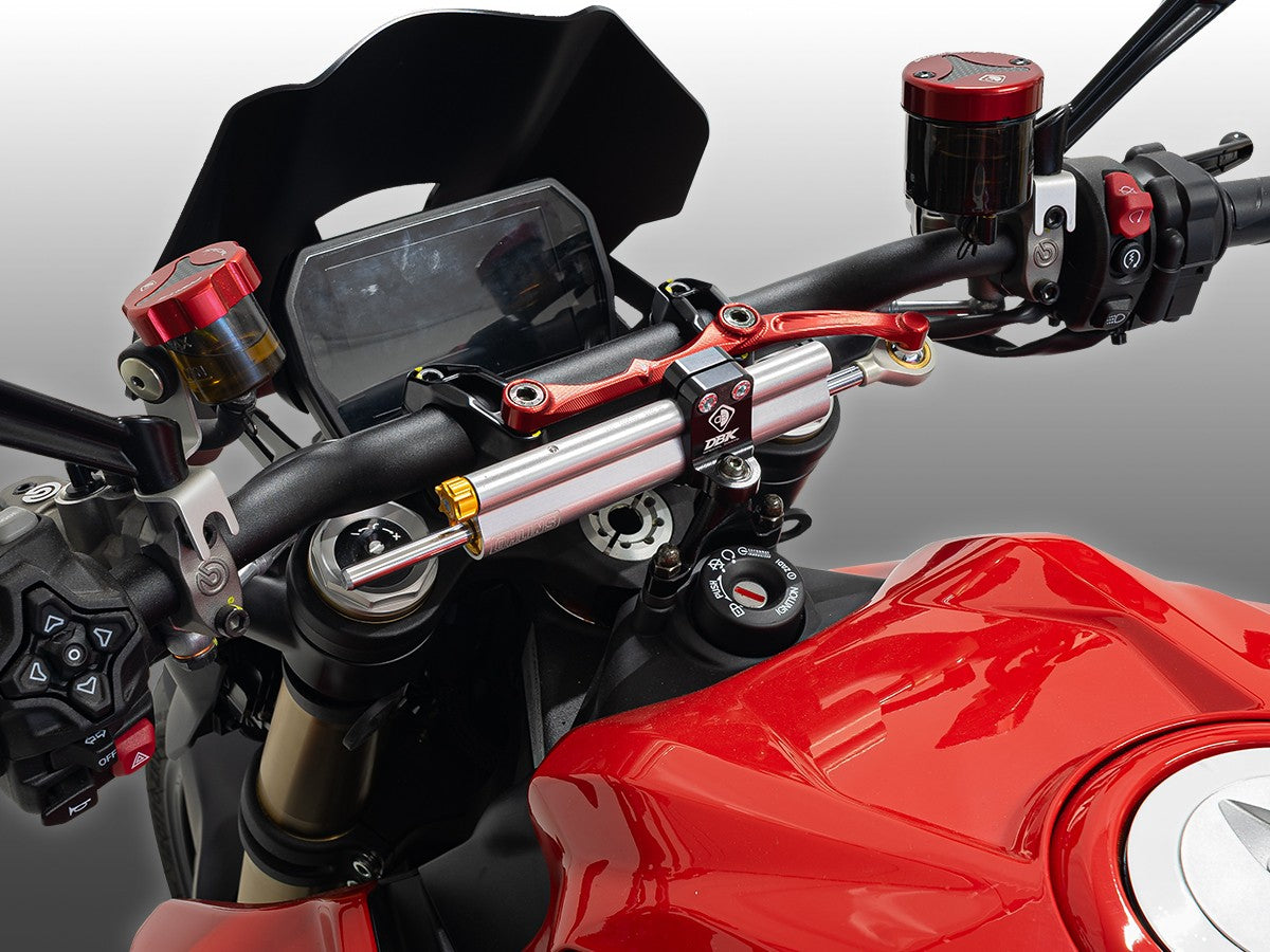 SAS24 SFV2 / Monster MY25 Steering Damper Bracket