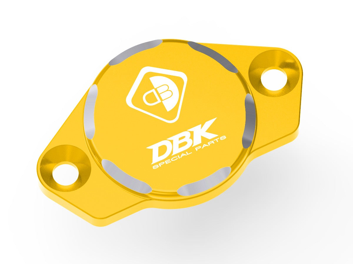 CIF04 Timing Inspection Cover