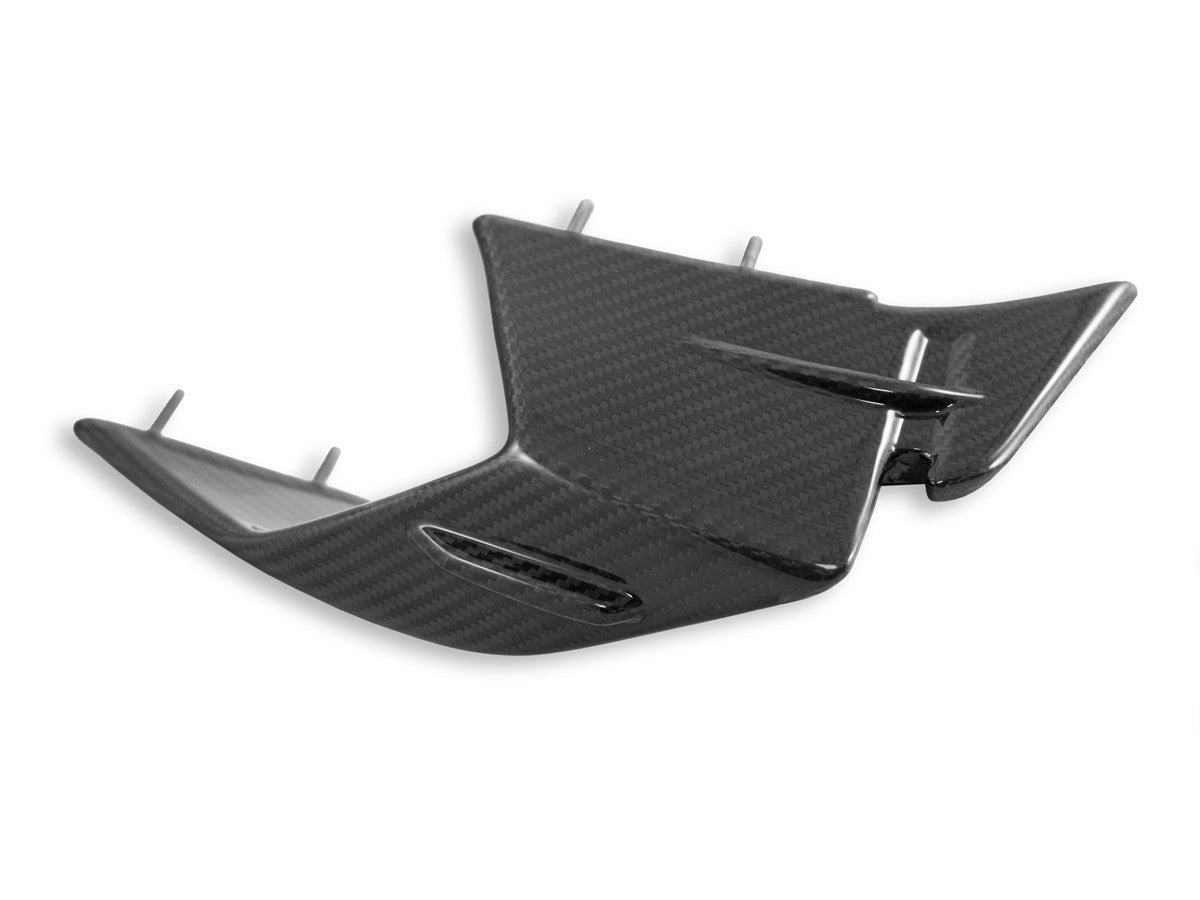CRB142L BMW S1000RR My23 Glossy Carbon Winglets