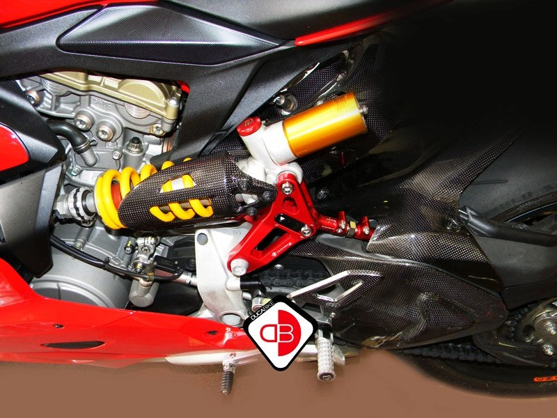 BSP01 Rear Link Suspension Panigale
