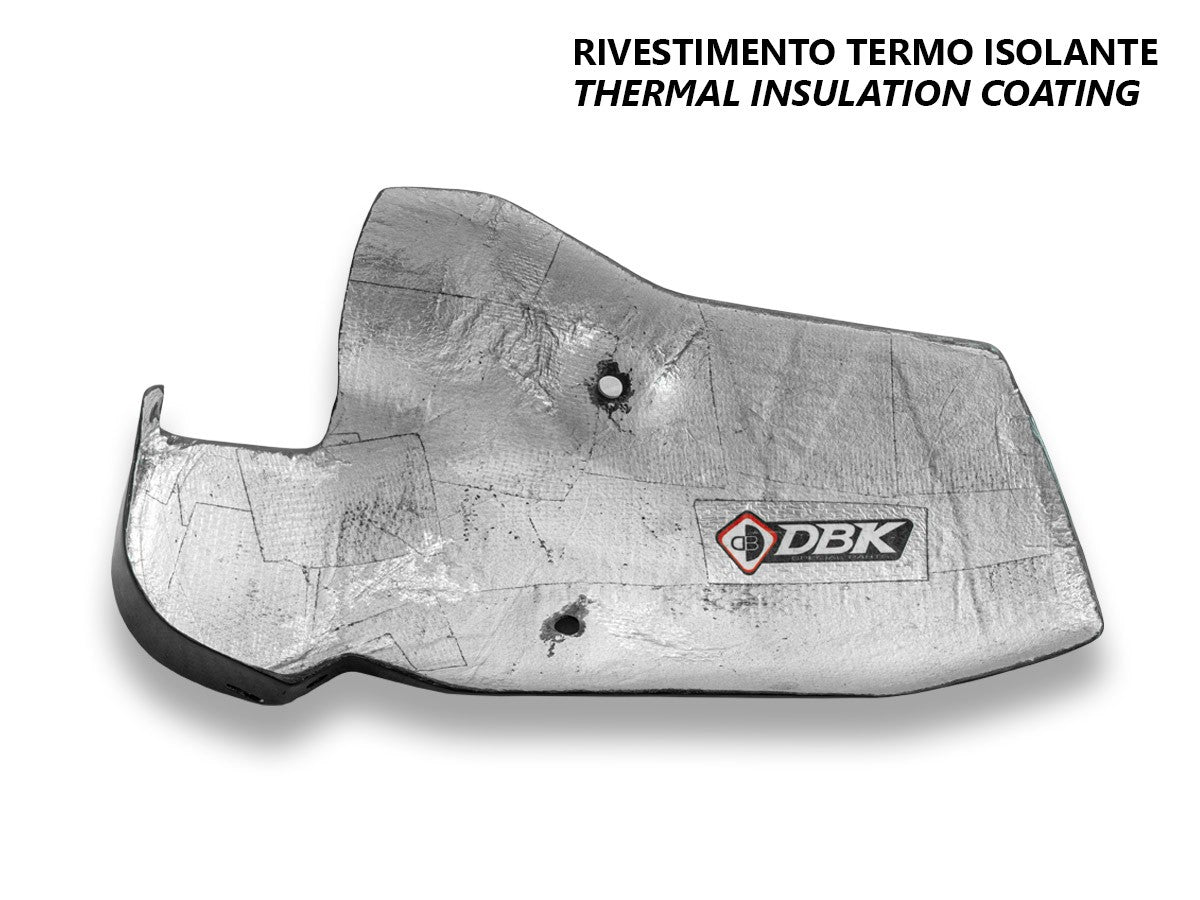 CRB185L - BMW R1300GS GLOSSY CARBON EXHAUST GUARD