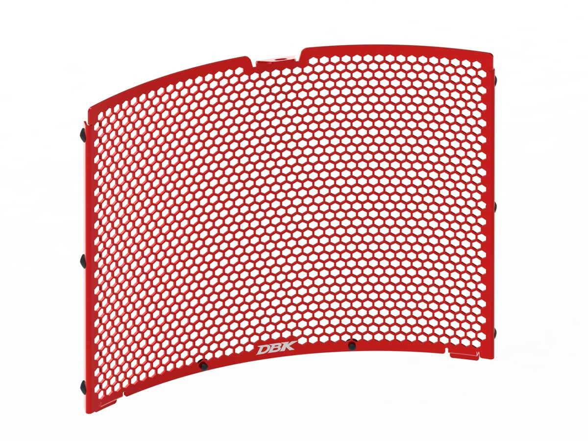 Ducati Streetfighter V2 2025 Water Radiator Guard
