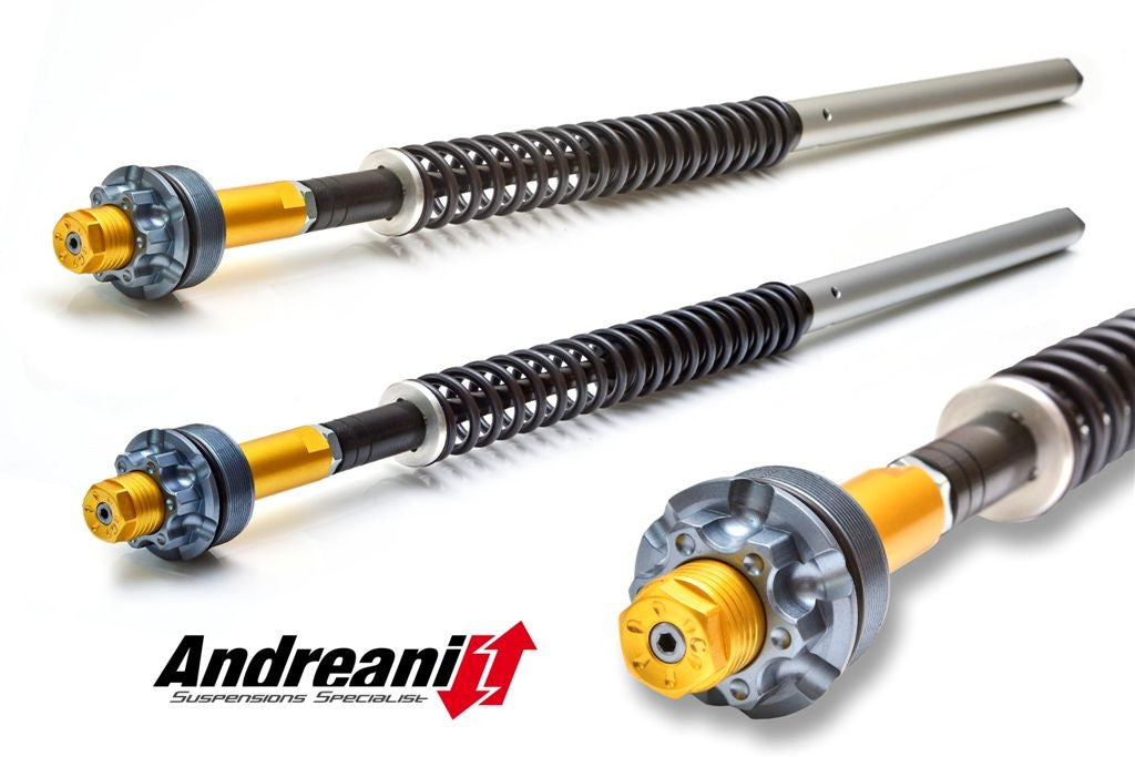 CFD105/D05 M696 (Marzocchi) Adjustable Cartridge Kit