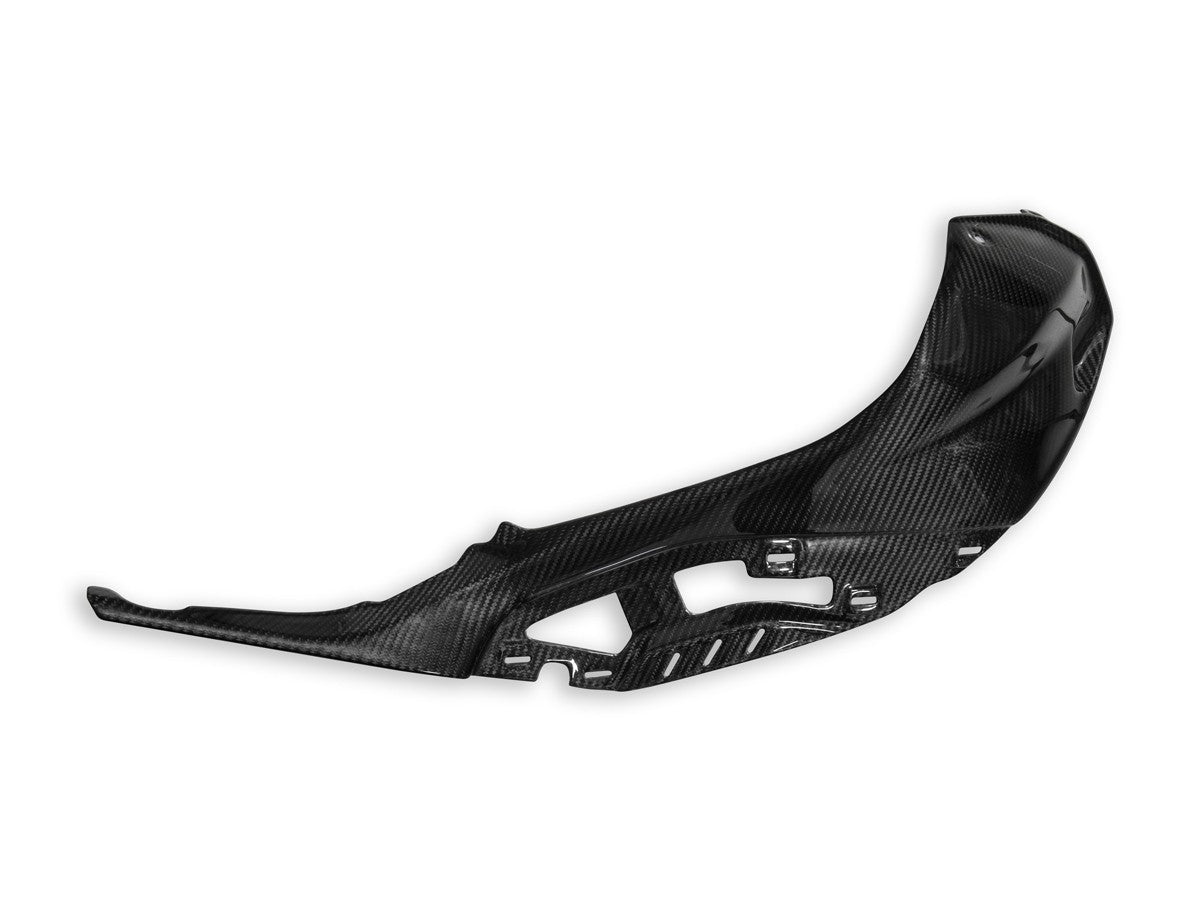 CRB138L BMW S1000R Polished Carbon Tank Cover