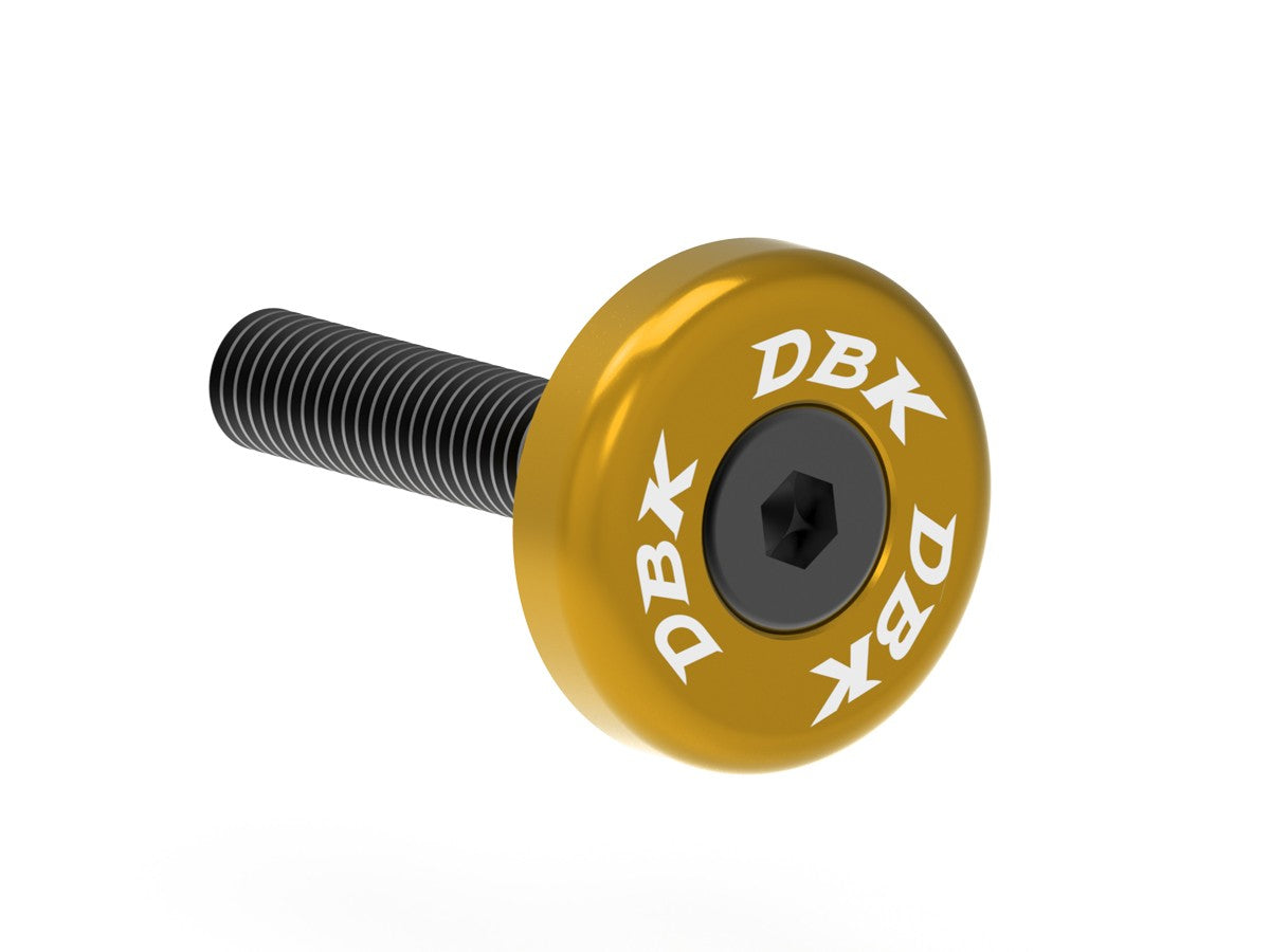 CNC Exhaust Terminal Bushing Aprilia RSV4