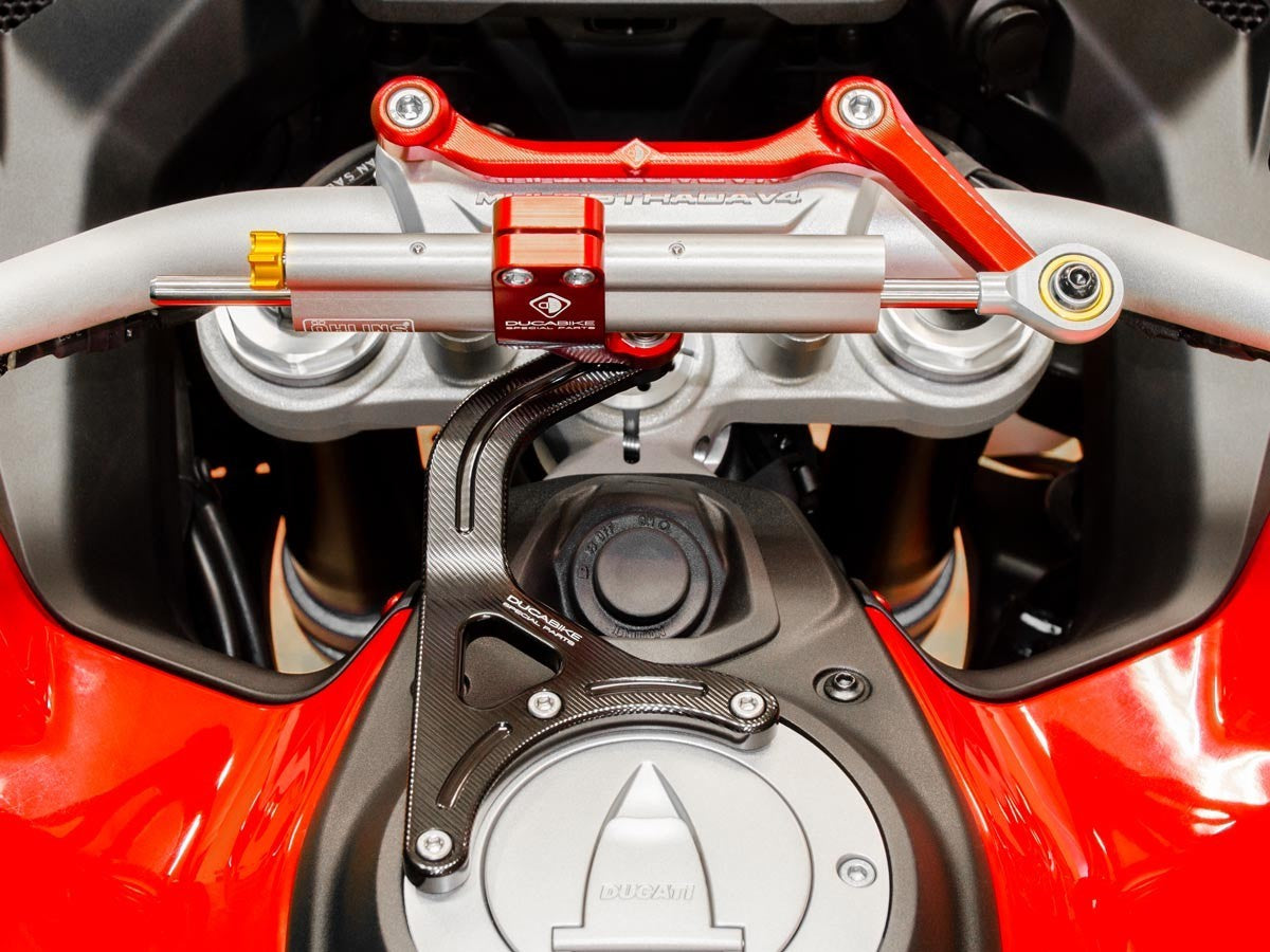 SAS18 MTSV4 Pp Kit Mount Steering Damper